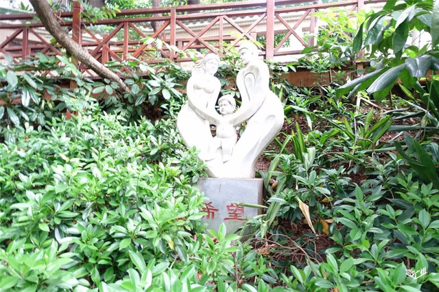 越秀华侨新村二期,广州越秀区生活的真实感受