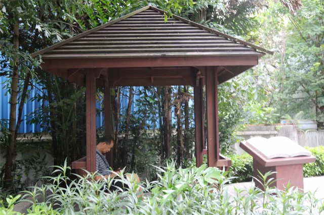 越秀华侨新村二期,广州越秀区生活的真实感受