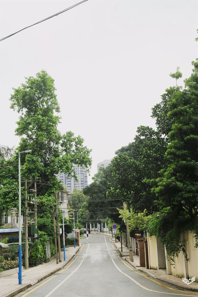 越秀华侨新村二期,广州越秀区生活的真实感受