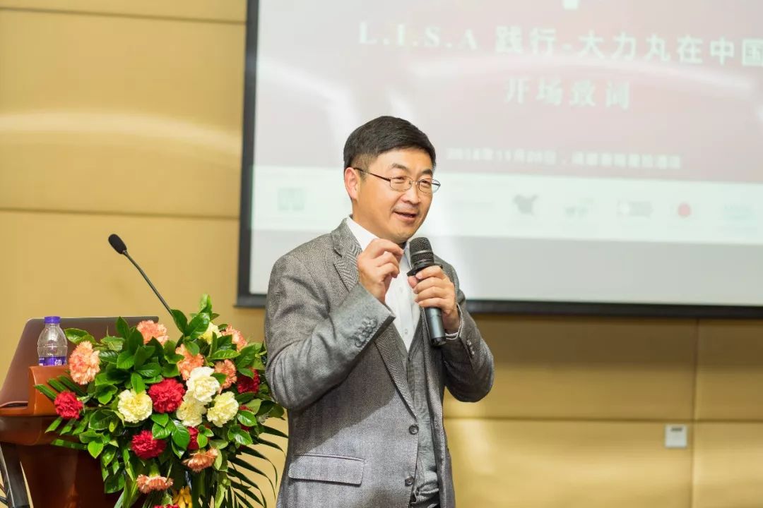 复合肥大力丸,大力丸复合肥料多少钱一袋