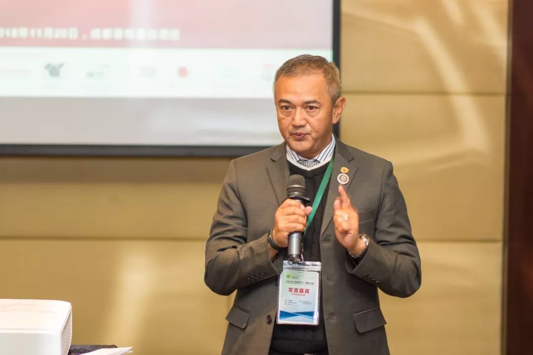 复合肥大力丸,大力丸复合肥料多少钱一袋