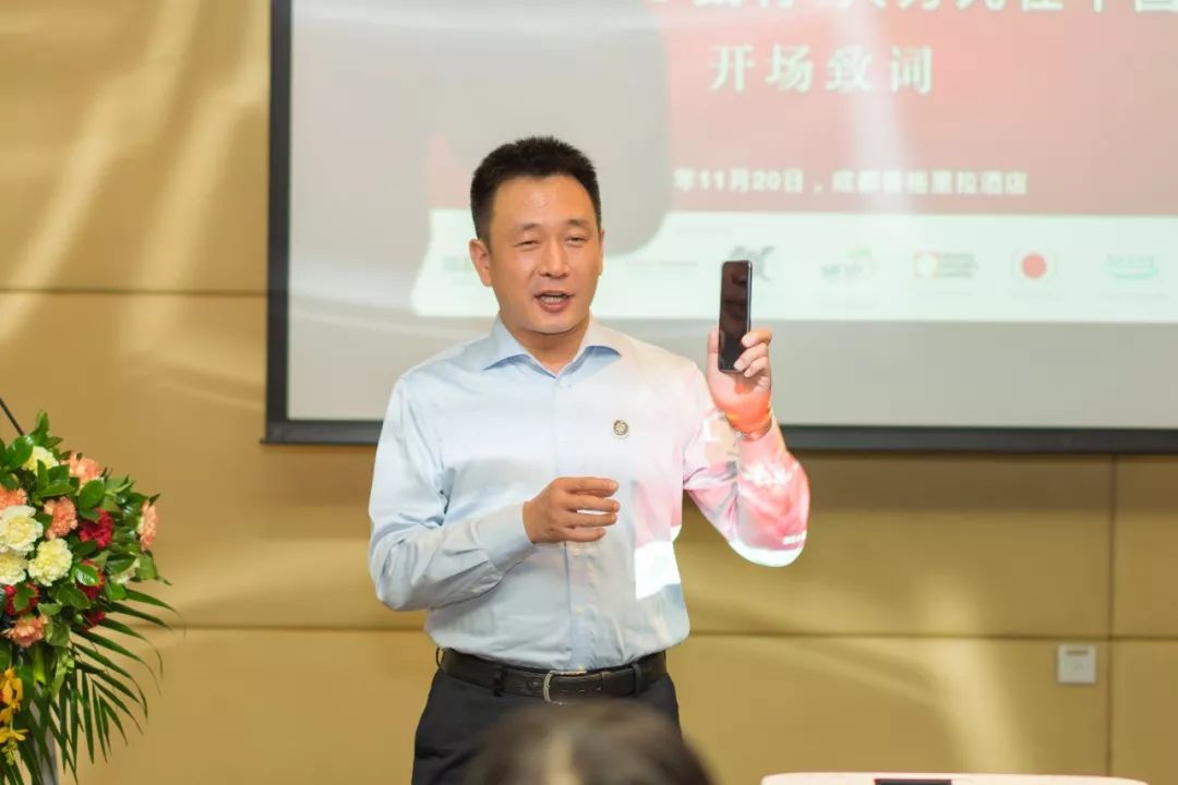 复合肥大力丸,大力丸复合肥料多少钱一袋