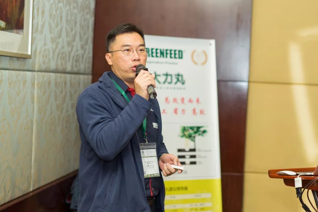 复合肥大力丸,大力丸复合肥料多少钱一袋