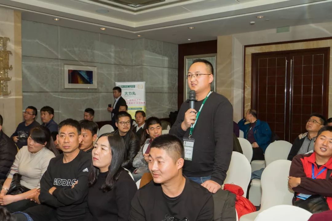 复合肥大力丸,大力丸复合肥料多少钱一袋