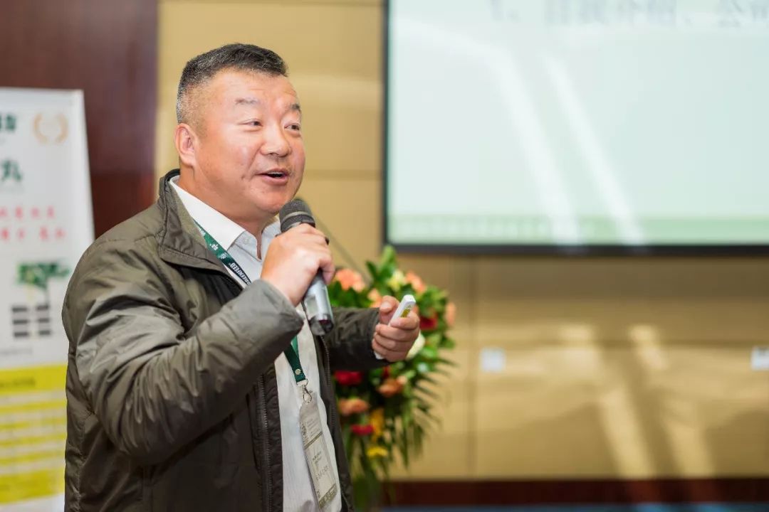 复合肥大力丸,大力丸复合肥料多少钱一袋