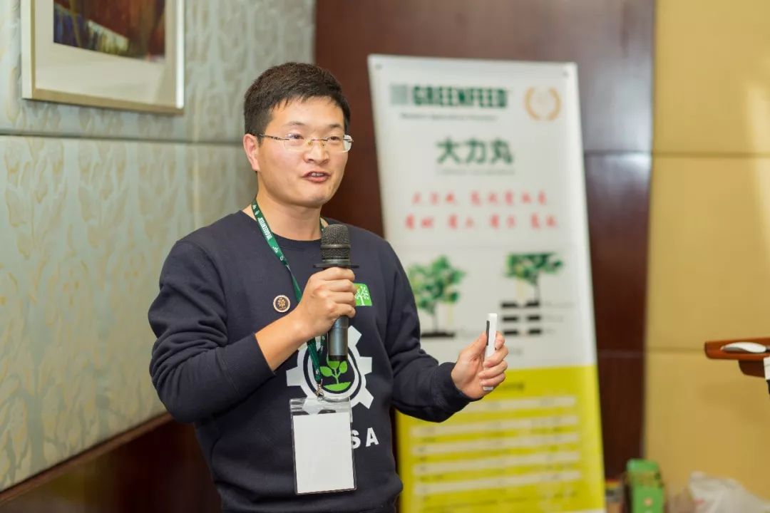 复合肥大力丸,大力丸复合肥料多少钱一袋