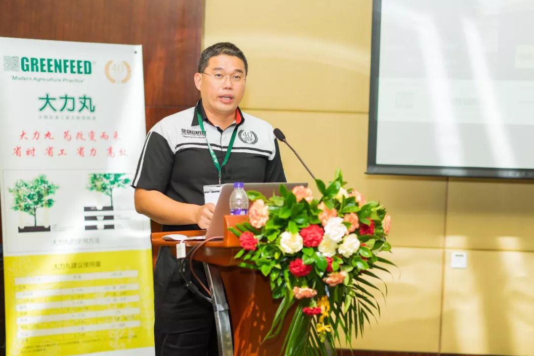 复合肥大力丸,大力丸复合肥料多少钱一袋