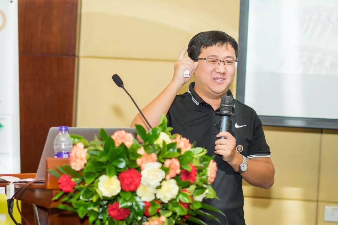 复合肥大力丸,大力丸复合肥料多少钱一袋