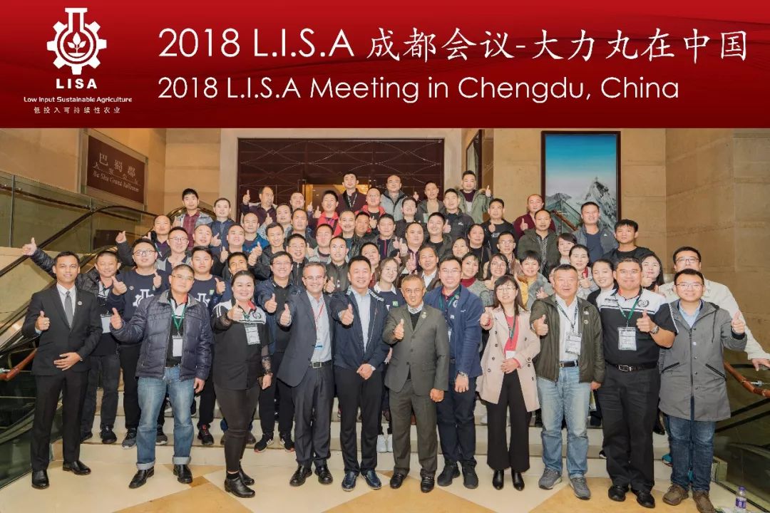 复合肥大力丸,大力丸复合肥料多少钱一袋