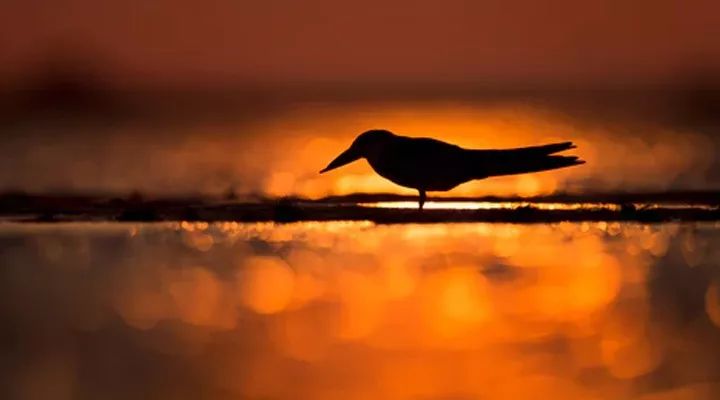 地产销售思维vs销售话术,地产销售十大八卦