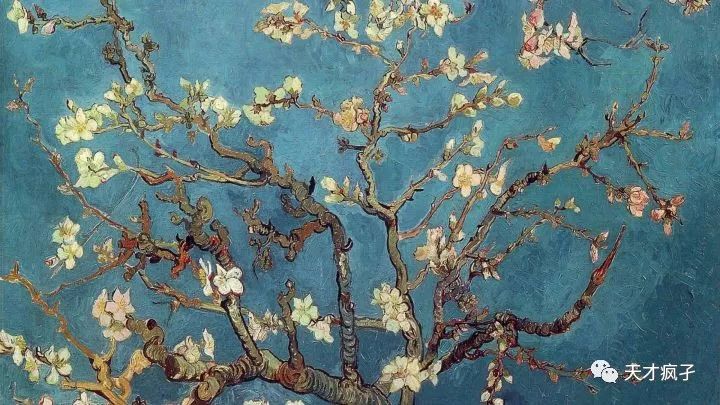 免费磁力引擎,磁力引擎推荐2020