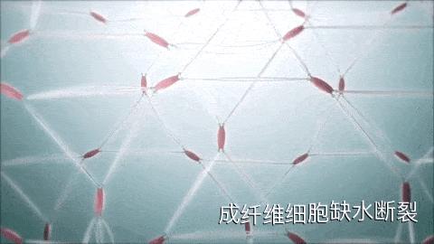 肌肤水润滋养秋冬干燥,肌肤水润嫩滑保湿护肤品