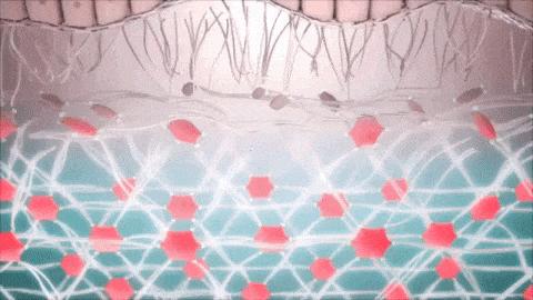 肌肤水润滋养秋冬干燥,肌肤水润嫩滑保湿护肤品