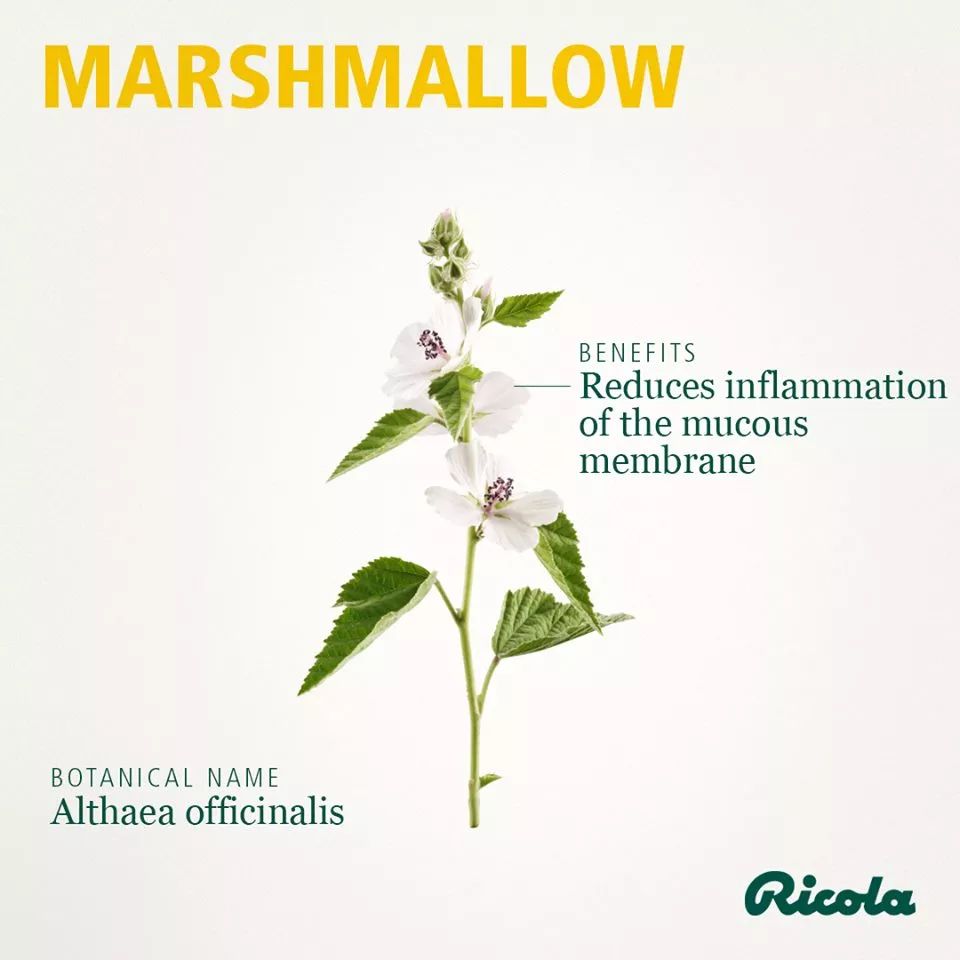 肌肤水润滋养秋冬干燥,肌肤水润嫩滑保湿护肤品