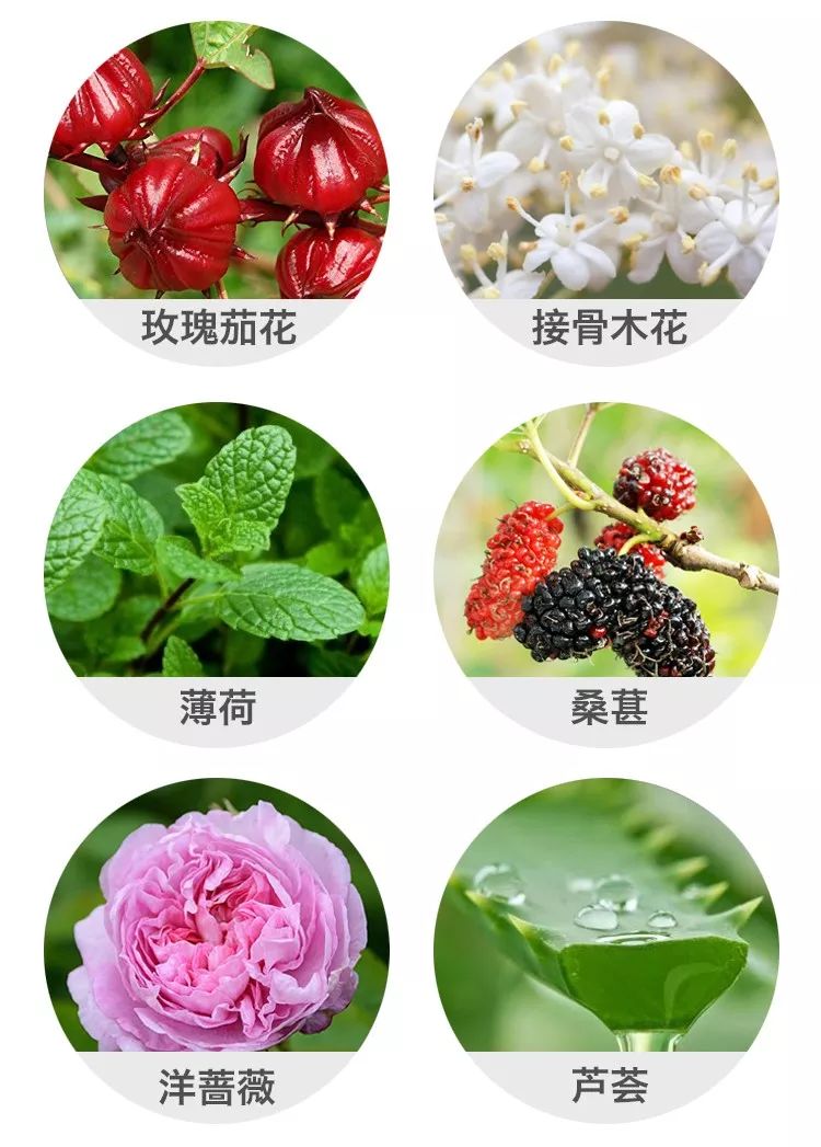 肌肤水润滋养秋冬干燥,肌肤水润嫩滑保湿护肤品