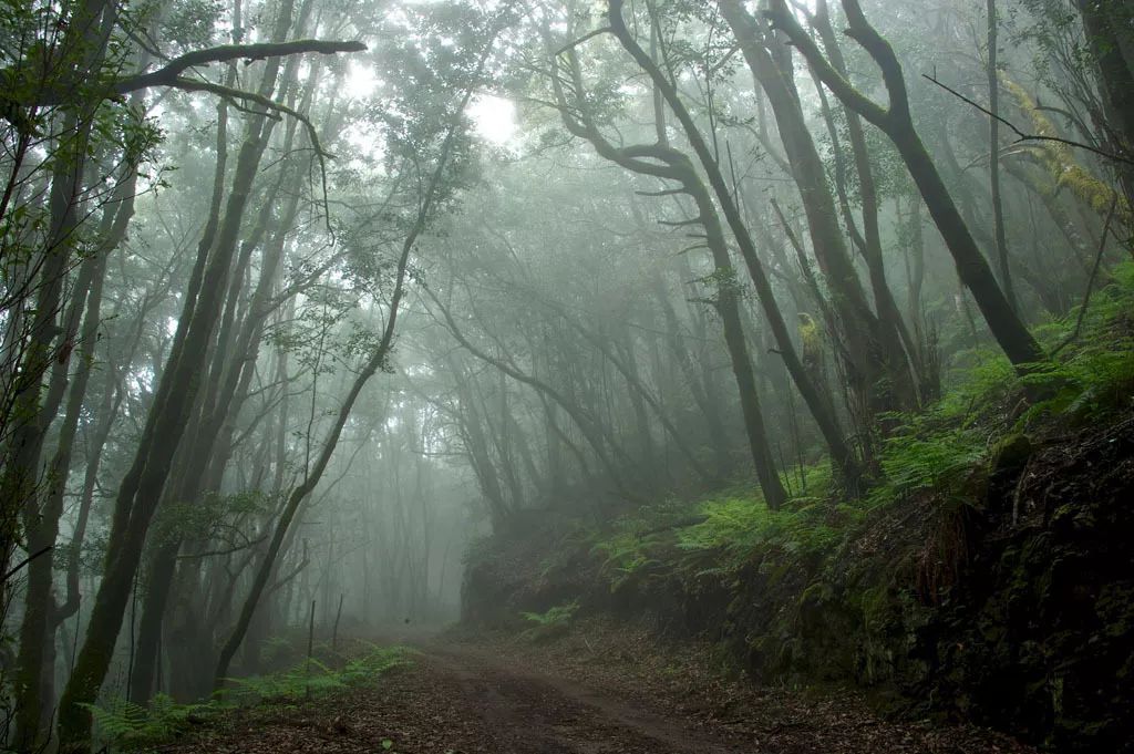 去西班牙不能错过的东西,去过西班牙的感受