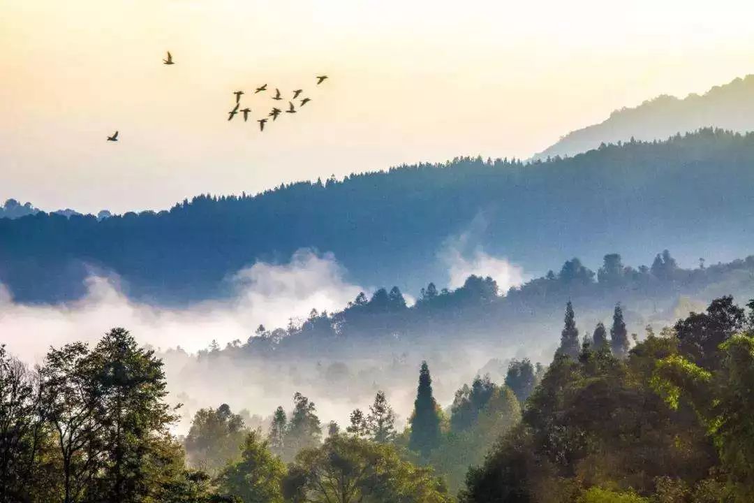 四川旅游淡季,降价景区门票价格