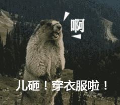 不穿秋裤腿毛会变多吗,不穿秋裤腿变粗冷知识