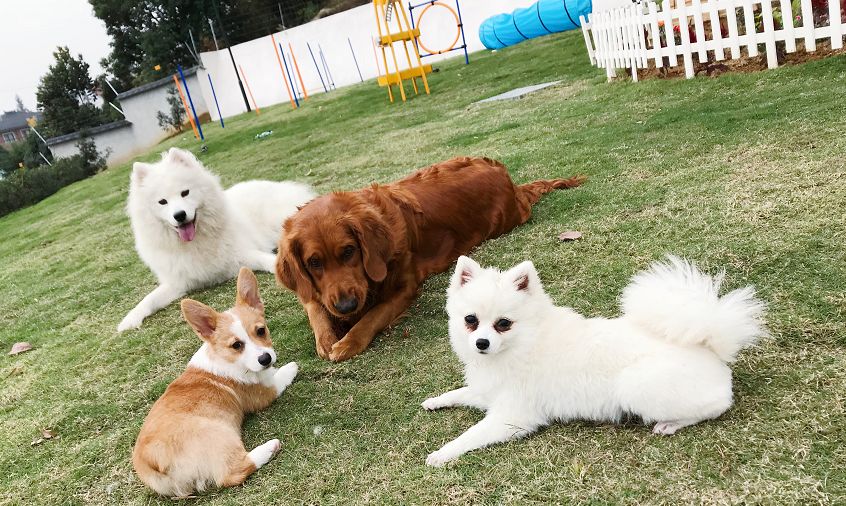 杭州民宿真实评价,杭州民宿真的很好吗