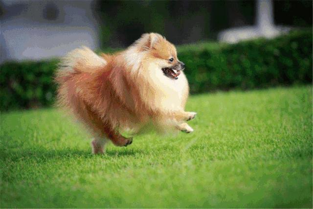 杭州民宿真实评价,杭州民宿真的很好吗