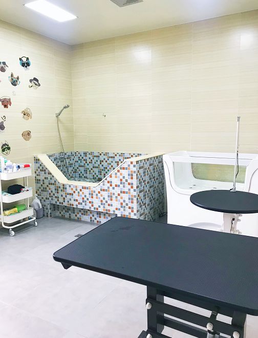 杭州民宿真实评价,杭州民宿真的很好吗