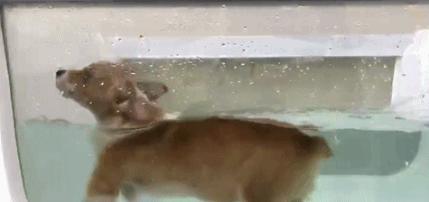 杭州民宿真实评价,杭州民宿真的很好吗