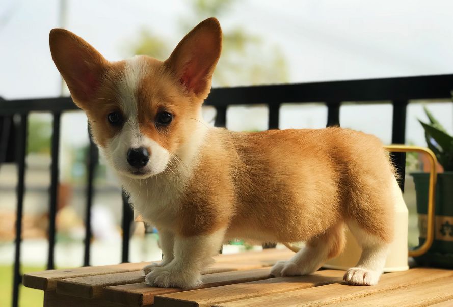 杭州民宿真实评价,杭州民宿真的很好吗