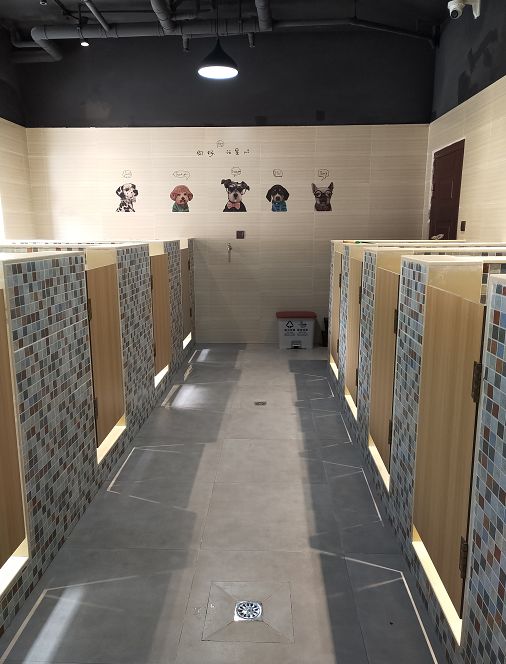 杭州民宿真实评价,杭州民宿真的很好吗