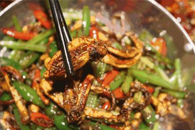 2019年春节去哪吃喝玩乐？这份攻略为你详细安排！