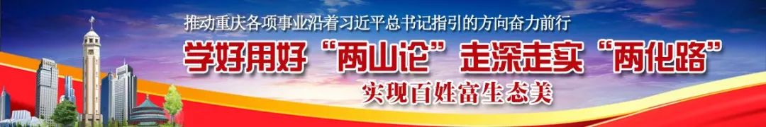 紫金小学师资,紫金小学报名条件