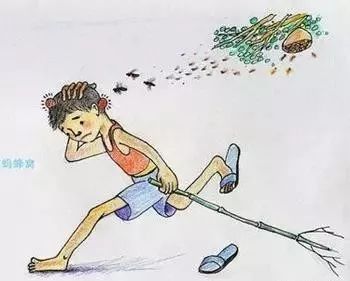 江西一居民家中惊现巨型马蜂窝,贵州家里惊现巨型马蜂窝