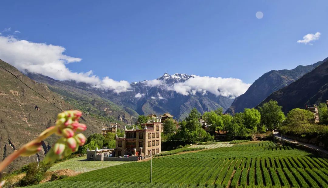 她们用自己的身体,建起了一幢幢泣血的“姐妹楼”