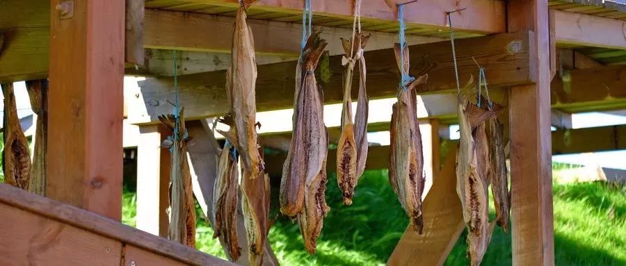 今日小雪清风一念落雪为安,今日小雪静待美好