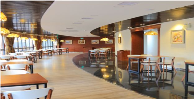 抓住一条锦鲤,抓到一条锦鲤