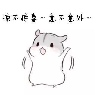 抓住一条锦鲤,抓到一条锦鲤