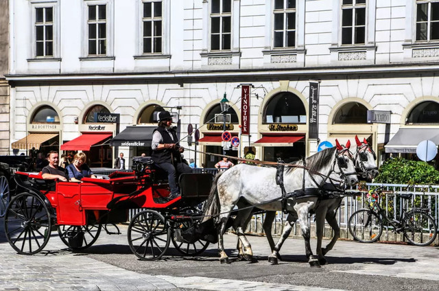 全球宜居城市排名2022官方排名,全球宜居城市最新排名