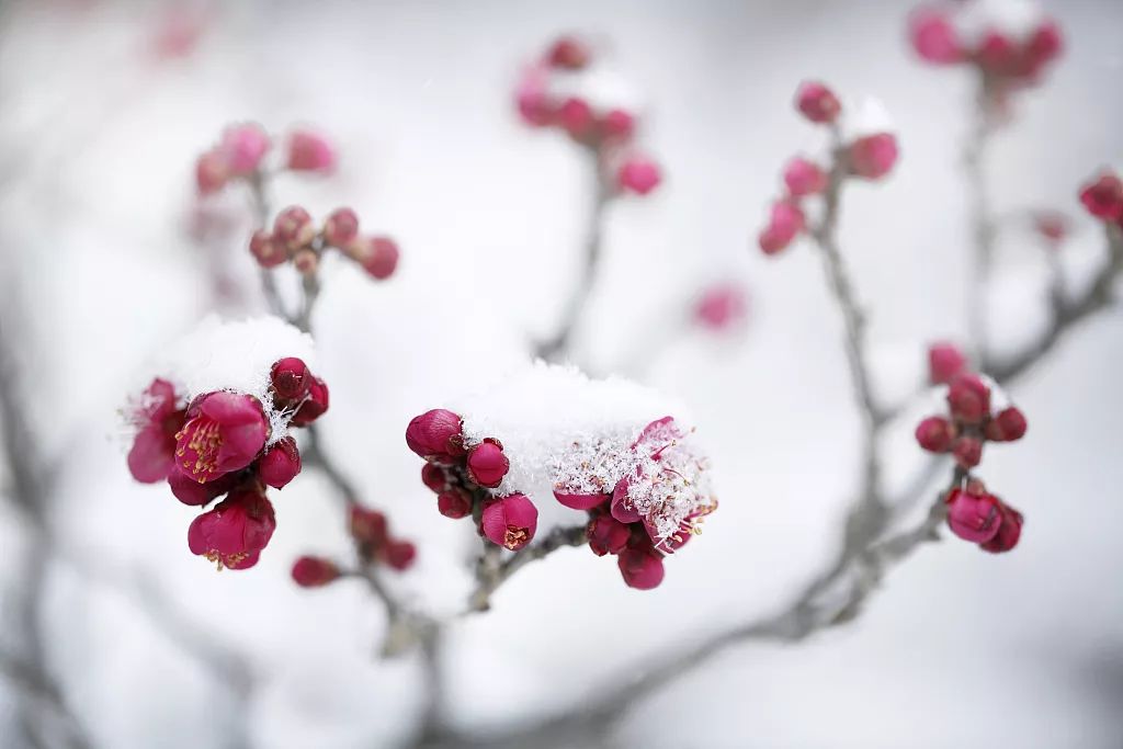不悔梦归处只恨太匆匆背景图,不悔梦归处只恨太匆匆语录