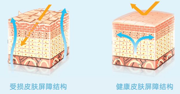 脸皮起皮干燥显老,脸皮松弛特显老怎么办