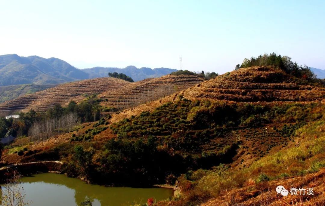 竹溪县有哪些著名的山,竹溪最有名的山