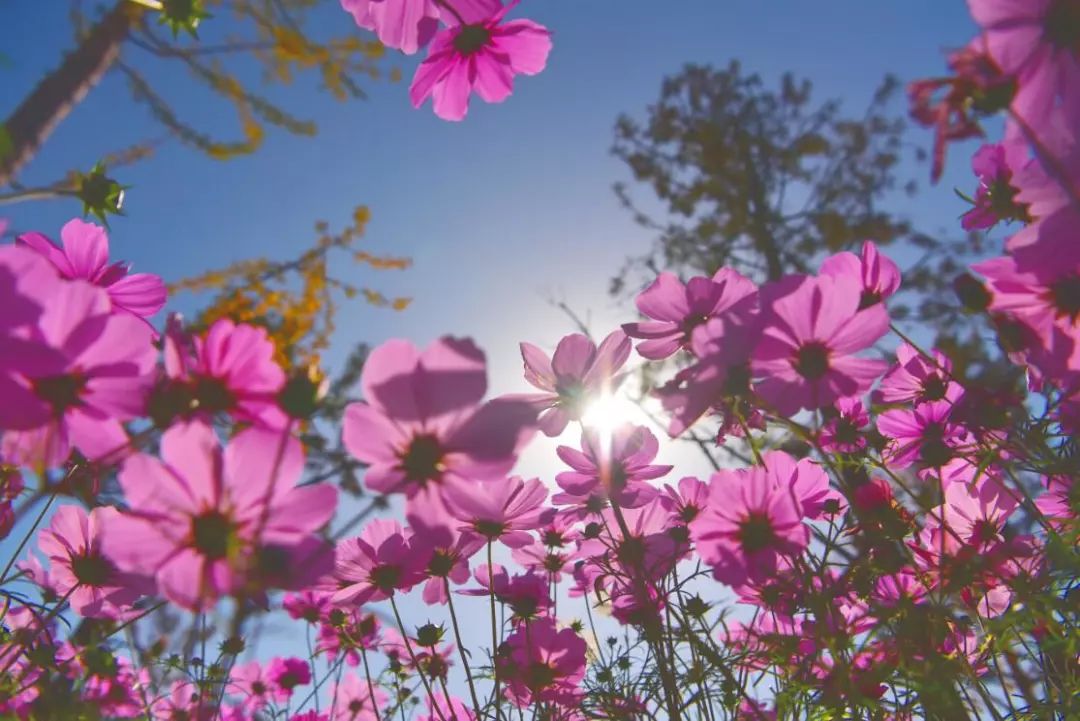 西安航天基地2021年工作重点,西安航天基地创新发展