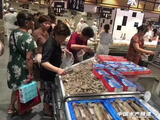 中国订购厄瓜多尔白虾最大的厂家,中国进口厄瓜多尔白虾最新政策