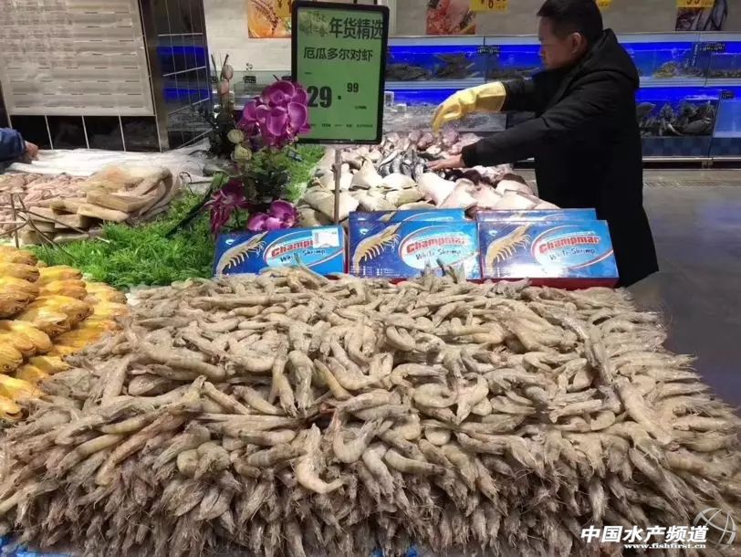 中国订购厄瓜多尔白虾最大的厂家,中国进口厄瓜多尔白虾最新政策