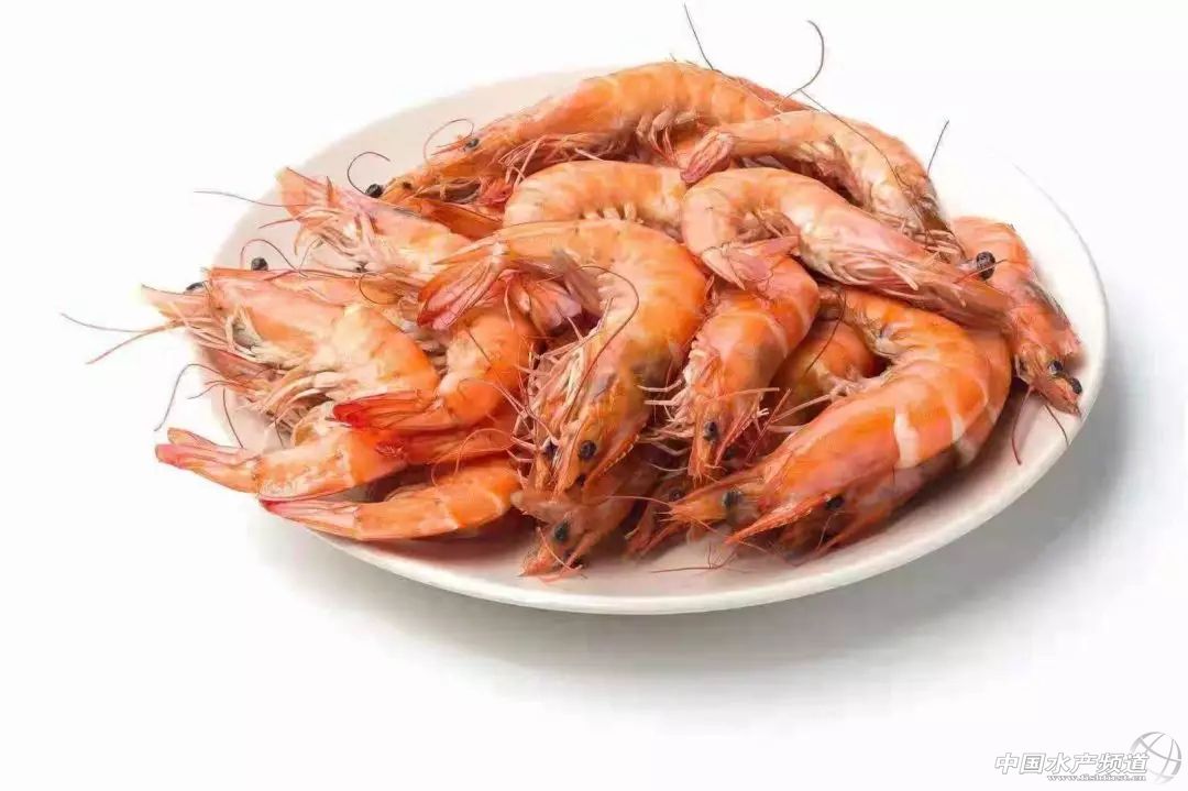 中国订购厄瓜多尔白虾最大的厂家,中国进口厄瓜多尔白虾最新政策
