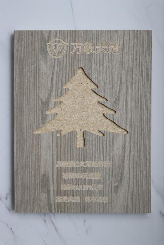 涔樿儨杩藉嚮,涔樿儨杩藉嚮鐗囨