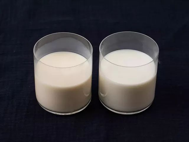 一条拼团｜“百菲酪”水牛奶，日东红茶经典奶茶