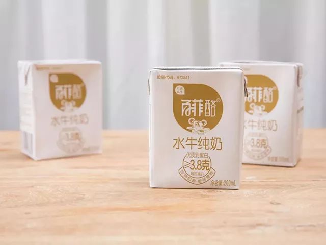 一条拼团｜“百菲酪”水牛奶，日东红茶经典奶茶
