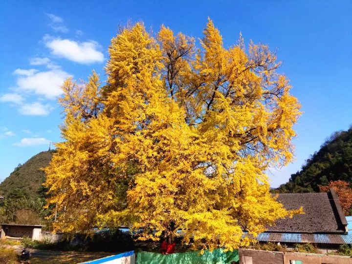 都匀山水风光,都匀城市风光图片