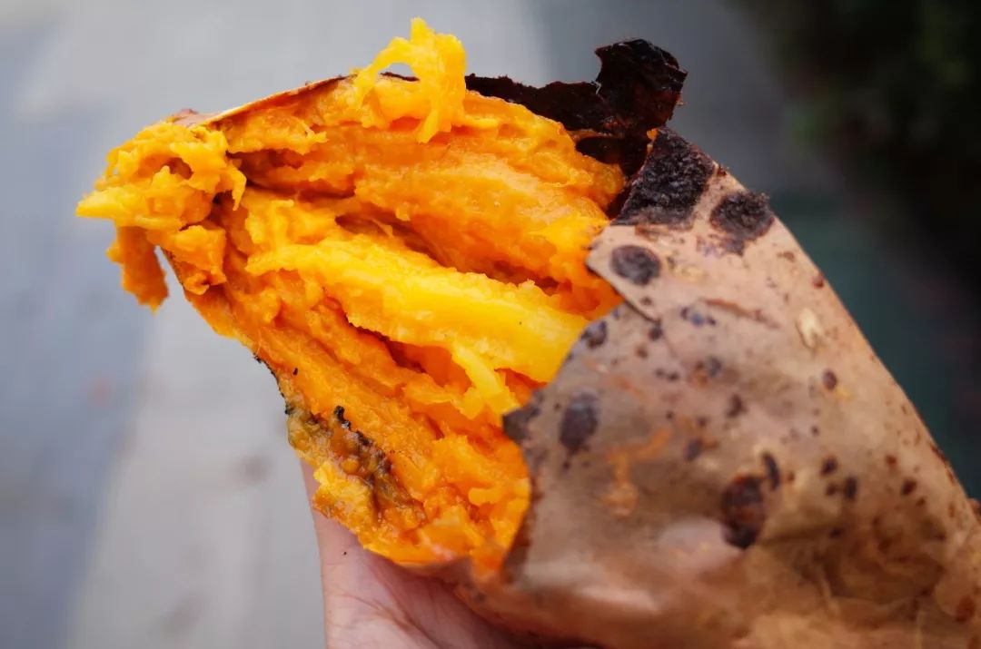 人间不值得但是人间很美好,人间不值得但是你值得是谁说的