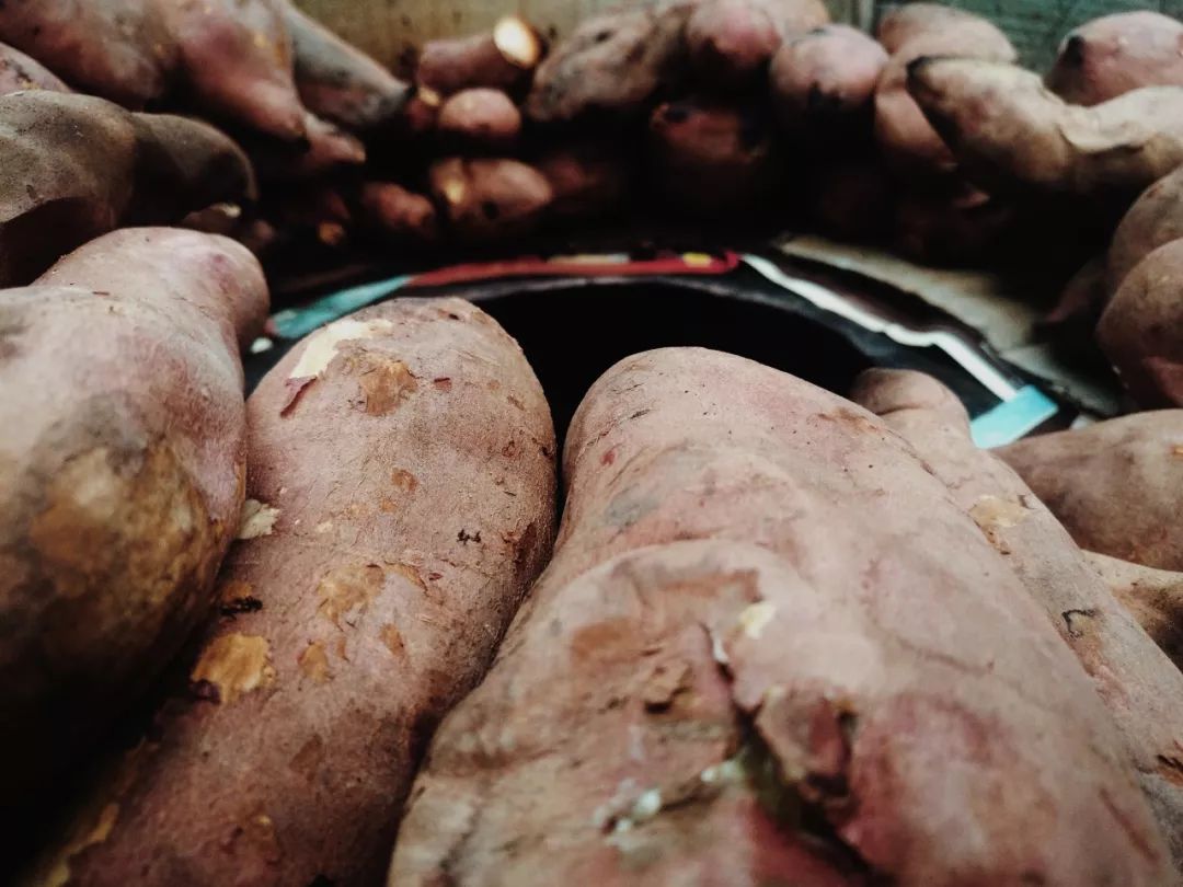 人间不值得但是人间很美好,人间不值得但是你值得是谁说的