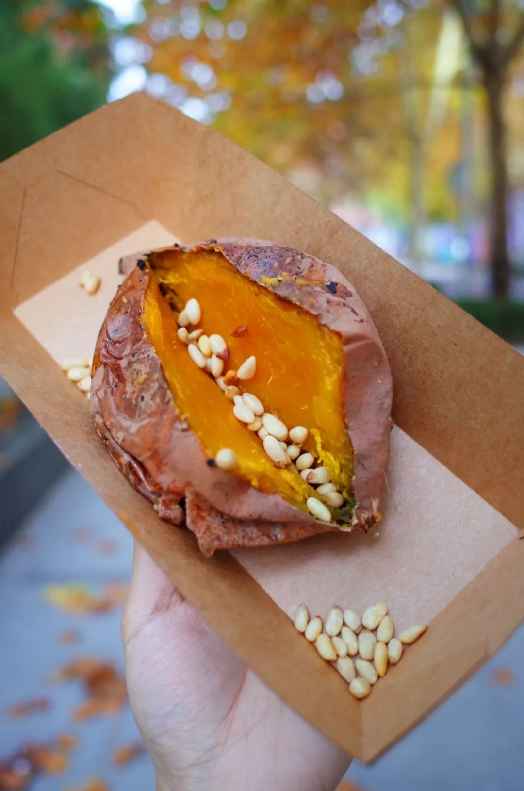 人间不值得但是人间很美好,人间不值得但是你值得是谁说的